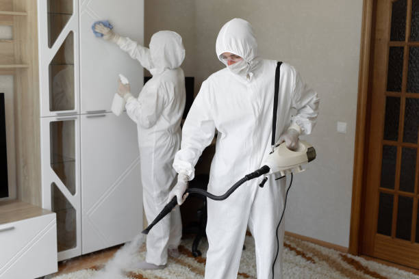 Trusted Sewage Cleanup service in Midland, OH - Four Month Blood Cleanse